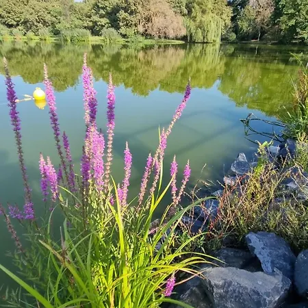 Apartment Lakeside Luxury Sarvar