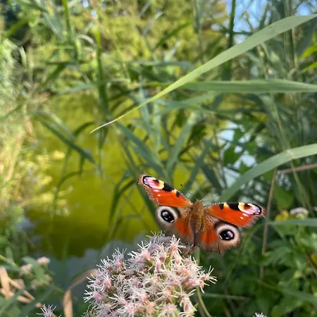 Lakeside Luxury Апартаменты *