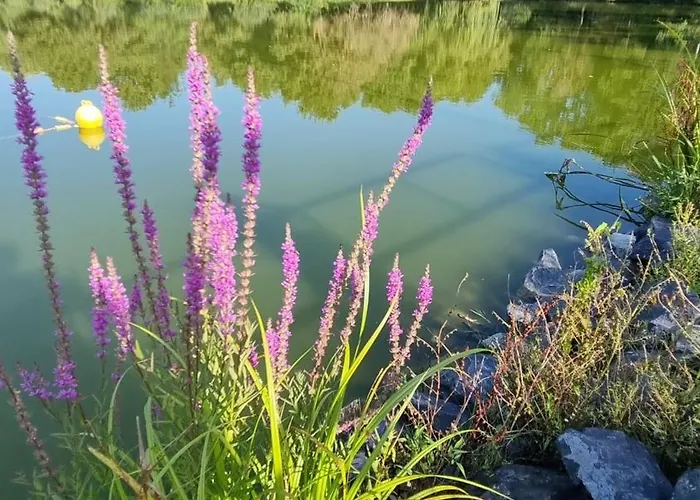 Apartamento Lakeside Luxury Sárvár