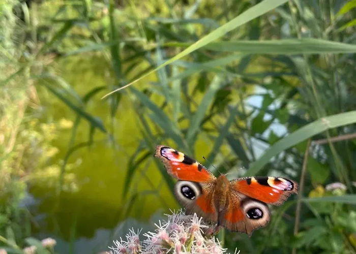 Lakeside Luxury Apartamento *